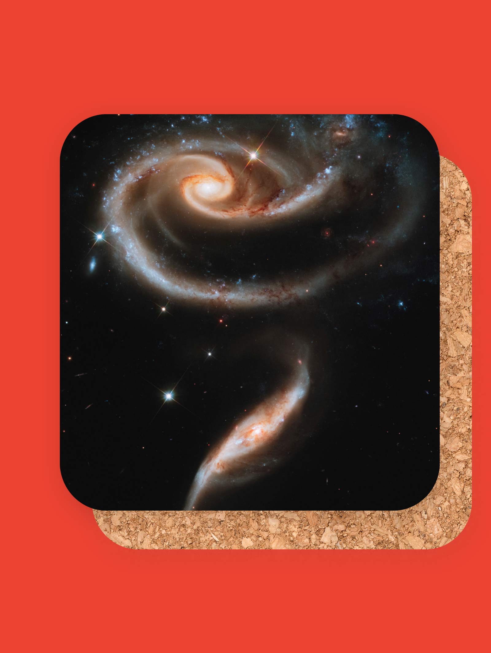 Rose Galaxies Coasters (Set of 4)